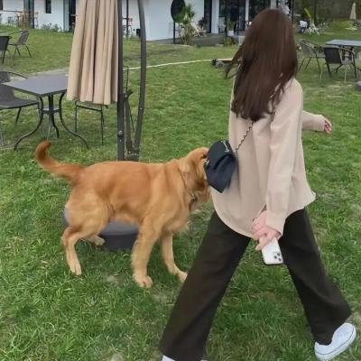 预审